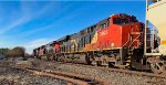 CN 2893